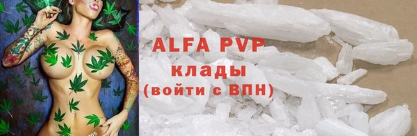 сатива Алексин