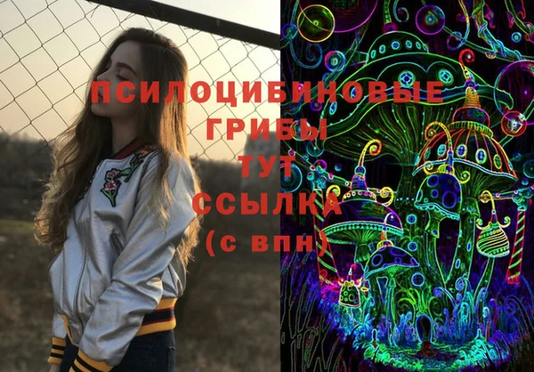 мдпв Покровск