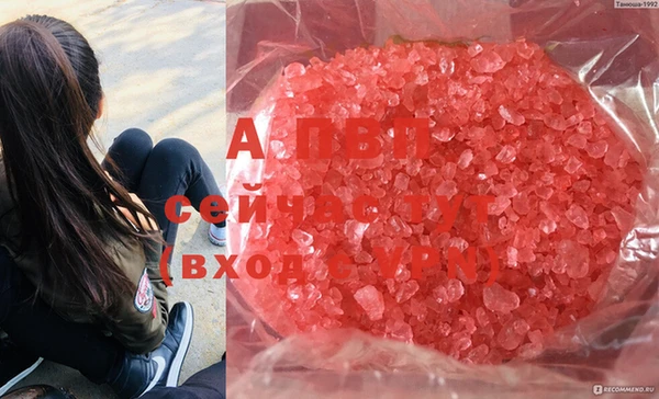 стаф Алексеевка