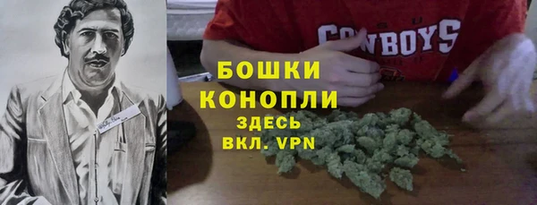 сатива Алексин