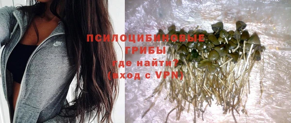 мдпв Покровск