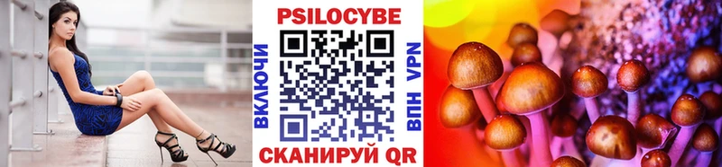 Галлюциногенные грибы Psilocybine cubensis  ссылка на мегу зеркало  Грайворон 